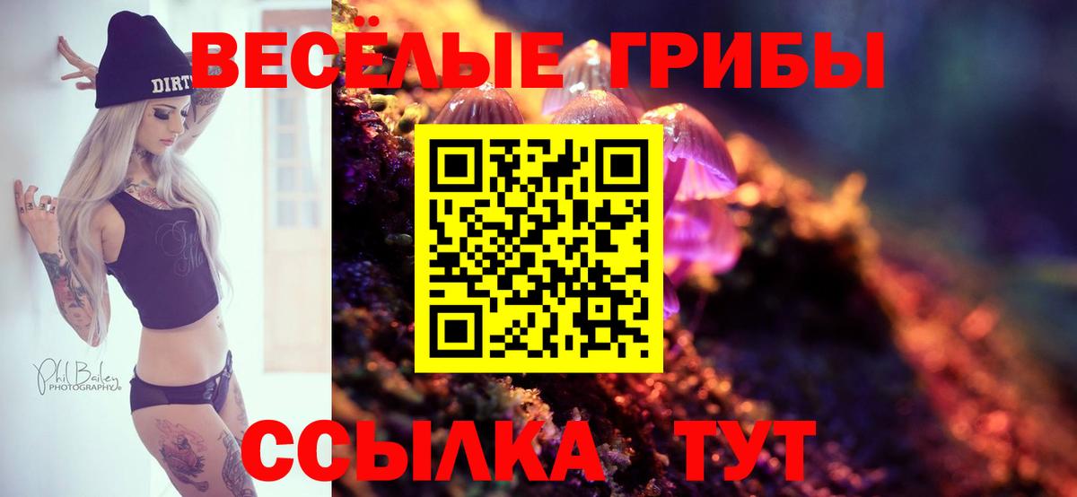 Псилоцибиновые грибы ЛСД  Вход с VPN  Сибай  Псилоцибиновые грибы Cubensis 